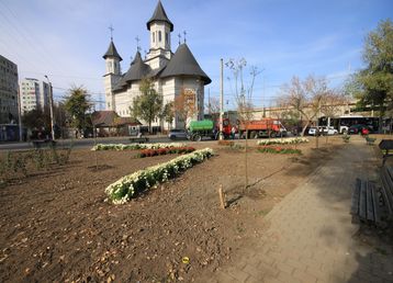 servicii publice iasi alexandru cel bun