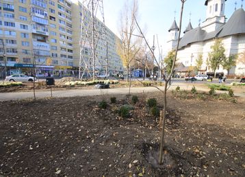 servicii publice iasi alexandru cel bun