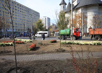 servicii publice iasi alexandru cel bun