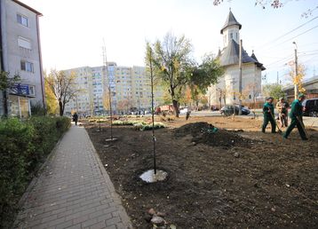 servicii publice iasi alexandru cel bun