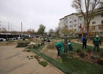 servicii publice iasi alexandru cel bun