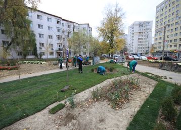 servicii publice iasi alexandru cel bun