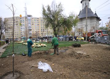 servicii publice iasi alexandru cel bun