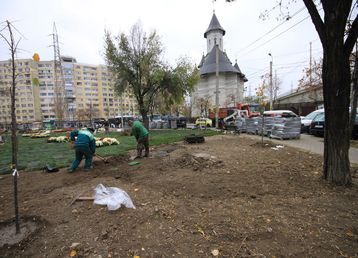 servicii publice iasi alexandru cel bun