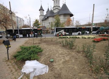 servicii publice iasi alexandru cel bun