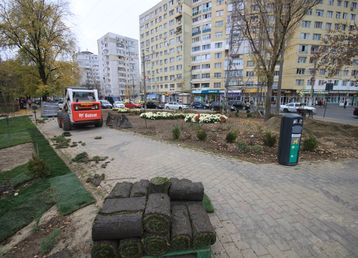 servicii publice iasi alexandru cel bun