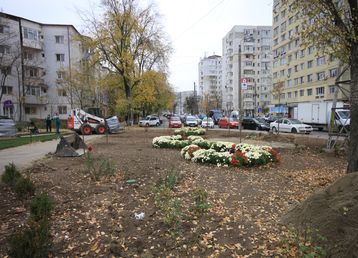 servicii publice iasi alexandru cel bun