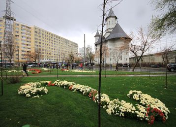 servicii publice iasi alexandru cel bun