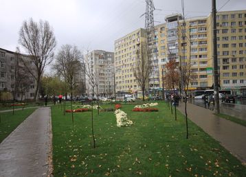 servicii publice iasi alexandru cel bun