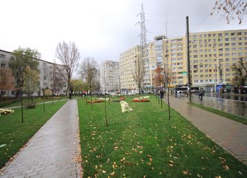 servicii publice iasi alexandru cel bun