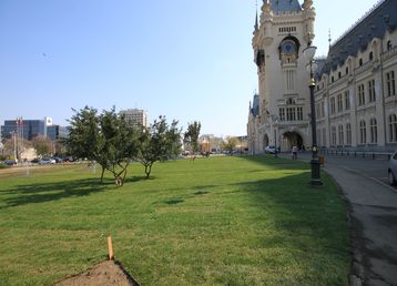 servicii publice iasi palatul culturii