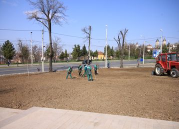 servicii publice iasi palatul culturii