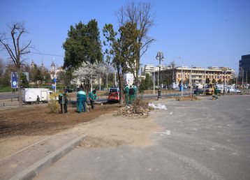 servicii publice iasi palatul culturii