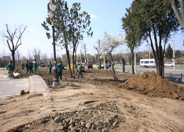 servicii publice iasi palatul culturii