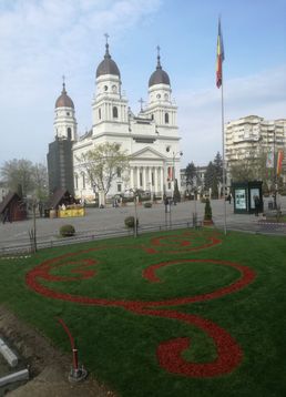 servicii publice iasi primaria iasi