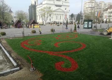 servicii publice iasi primaria iasi