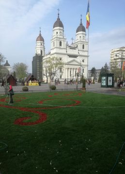 servicii publice iasi primaria iasi